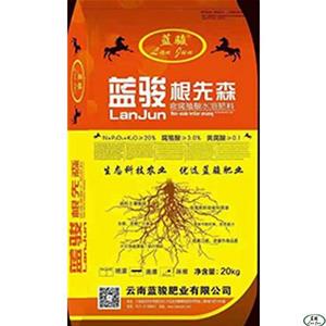 藍(lán)駿根先生